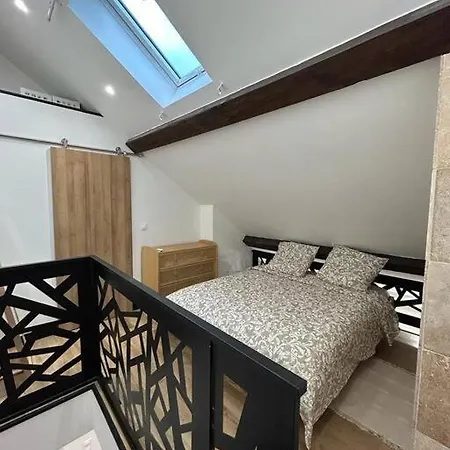 Le Darcy, Grand Appartement Centre Ville Dijon, Proche Gare Exterior photo
