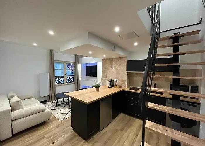 Le Darcy, Grand Appartement Centre Ville Dijon, Proche Gare